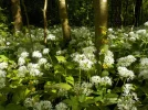 DSCN0459.webp