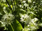 DSCN0450 (2).webp