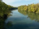 DSCN0434.webp