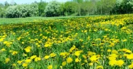 20160508_155711.webp