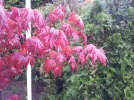 Picture013_resize.webp