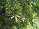 Picture021_resize.webp