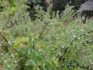 Picture017_resize.webp
