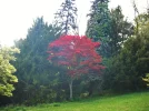 DSCF8325.webp