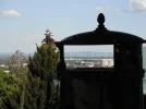 DSCF8300.webp