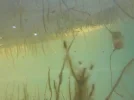 DSCN0523.webp