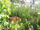 DSCN0890.webp