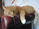 DSCN0635.webp