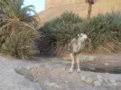 DSCN0123.webp
