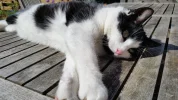 20160507_161311[1].webp