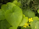 DSCN0529.webp