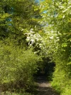 DSCN0296 (2).webp