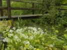 DSCN0548.webp