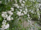 DSCN0569.webp