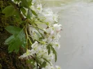 DSCN0543.webp