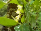 DSCN0553.webp