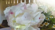 2016-05-15_18.33.54[1].webp