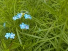 DSCN0536 (2).webp