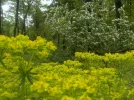 DSCN0562 (2).webp