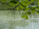 DSCN0622.webp