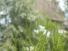 DSCN0587.webp