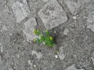 20160516_123431_resize.webp