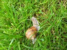 20160514_133724_resize.webp