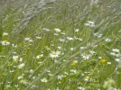 DSCN0641 (2).webp