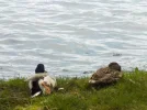 DSCN0675.webp