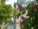 DSCN0644.webp