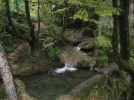 IMG_1783.webp