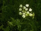 DSCN0720 (2).webp