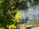 DSCN0706.webp