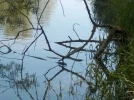 DSCN0722.webp