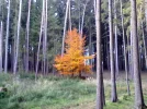 IMG_20140512_100809.webp