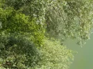 DSCN0740.webp