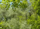 DSCN0747.webp