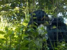 DSCN0739 (2).webp