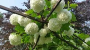 20160521_181647[1].webp
