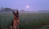 Antares und de Mond.webp