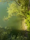 Du