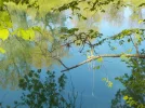 DSCN0503 (3).webp