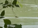 DSCN0612 (2).webp