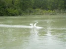 DSCN0598.webp
