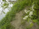 DSCN0277.webp