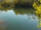 DSCN0314 (2).webp