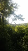 CAM01016.webp