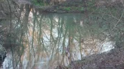 CAM00836.webp