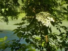 DSCN0805.webp