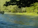 DSCN0785.webp